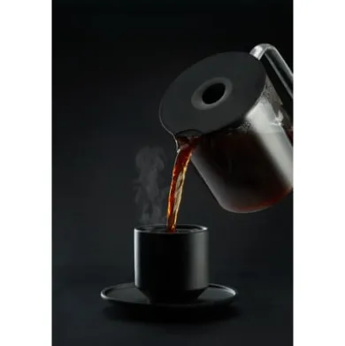 Ersatzglaskanne zu Filterkaffeemaschine WSPL