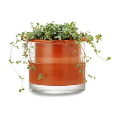 Pflanzgefäß Wet Pot Systems
